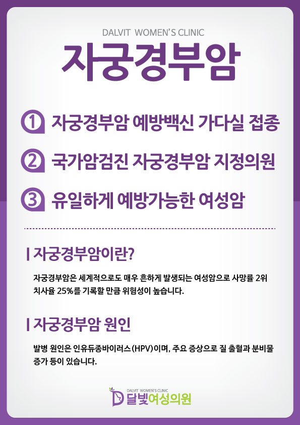 자궁경부암이란?에 대한 이미지1