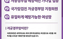 자궁경부암이란? 게시물의 썸네일 이미지